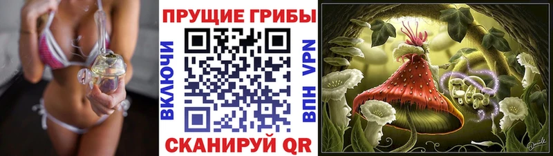 Псилоцибиновые грибы Magic Shrooms  kraken ТОР  Похвистнево 